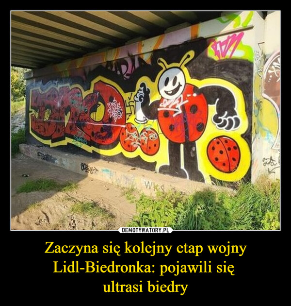 Zaczyna się kolejny etap wojny Lidl-Biedronka: pojawili się ultrasi biedry –  WKSණ