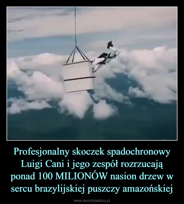 Profesjonalny skoczek spadochronowy Luigi Cani i jego zespół rozrzucają ponad 100 MILIONÓW nasion drzew w sercu brazylijskiej puszczy amazońskiej –  