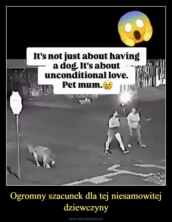 Ogromny szacunek dla tej niesamowitej dziewczyny –  It's not just about havinga dog. It's aboutunconditional love.Pet mum.