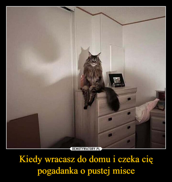 Kiedy wracasz do domu i czeka cię pogadanka o pustej misce –  