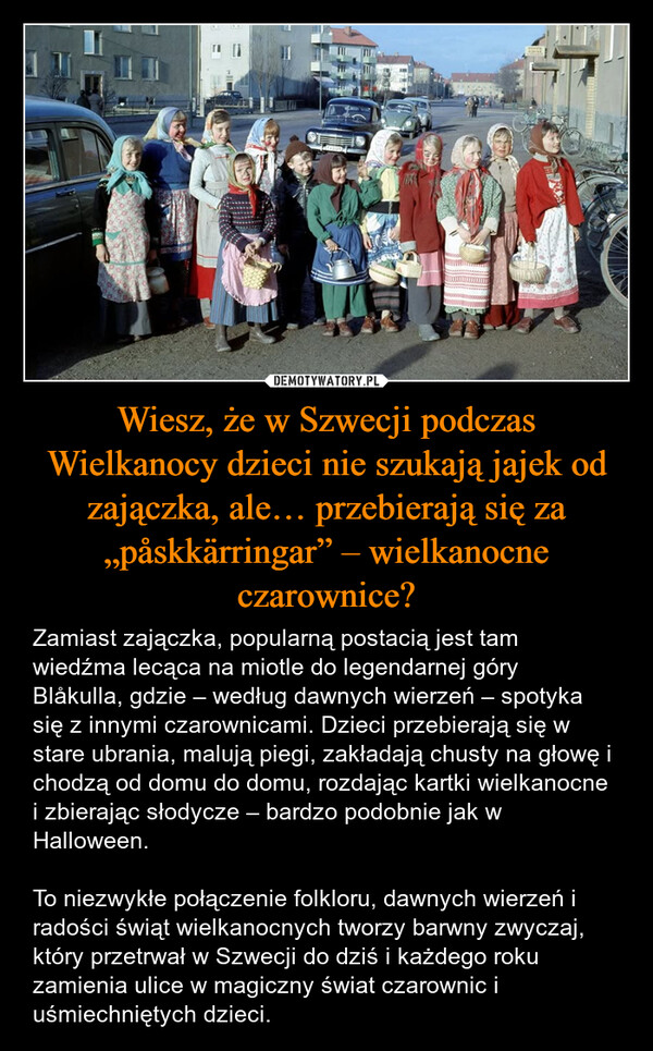 Wiesz, że w Szwecji podczas Wielkanocy dzieci nie szukają jajek od zajączka, ale… przebierają się za „påskkärringar” – wielkanocne czarownice? – Zamiast zajączka, popularną postacią jest tam wiedźma lecąca na miotle do legendarnej góry Blåkulla, gdzie – według dawnych wierzeń – spotyka się z innymi czarownicami. Dzieci przebierają się w stare ubrania, malują piegi, zakładają chusty na głowę i chodzą od domu do domu, rozdając kartki wielkanocne i zbierając słodycze – bardzo podobnie jak w Halloween.To niezwykłe połączenie folkloru, dawnych wierzeń i radości świąt wielkanocnych tworzy barwny zwyczaj, który przetrwał w Szwecji do dziś i każdego roku zamienia ulice w magiczny świat czarownic i uśmiechniętych dzieci. 